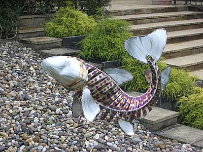 Fish