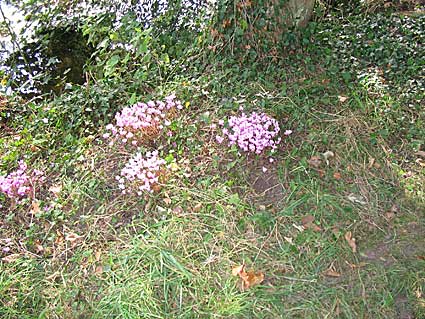img_6220