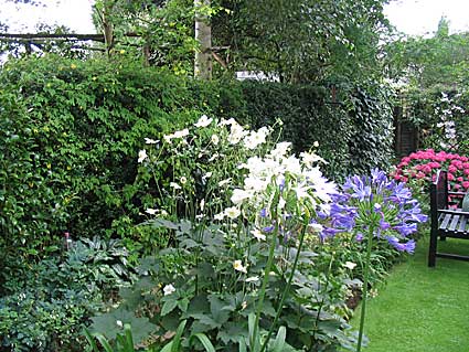 2006-garden-08