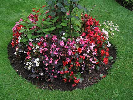2006-garden-13