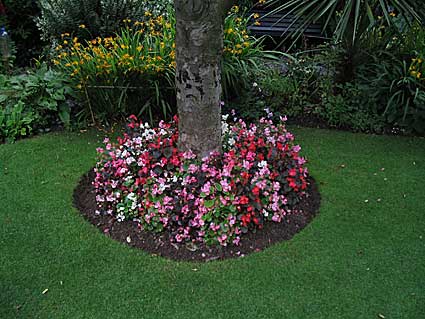 2006-garden-14