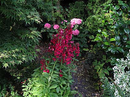 2006-garden-22