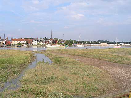 2006-garden-23